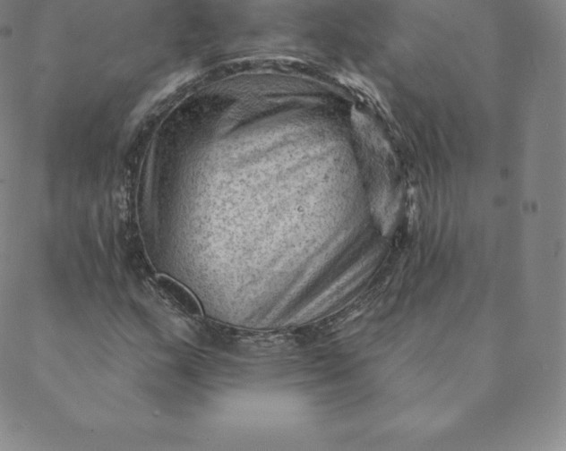 X0000088651159200706081630