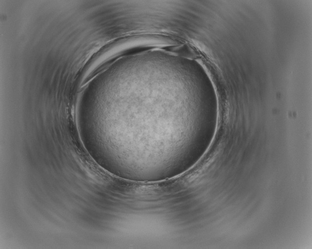 X0000088651161200706081630