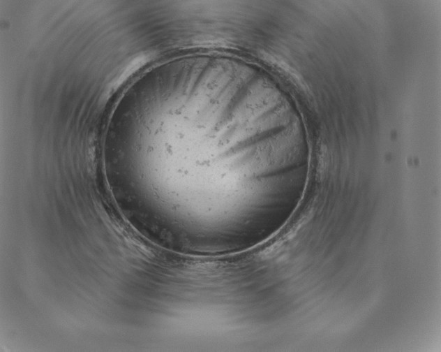 X0000088651162200706081630