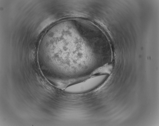 X0000088651163200706081630