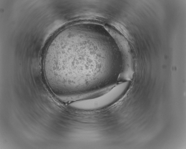 X0000088651164200706081630