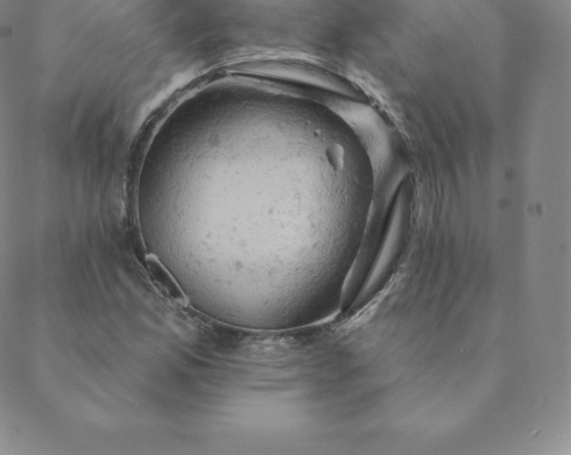 X0000088651165200706081630