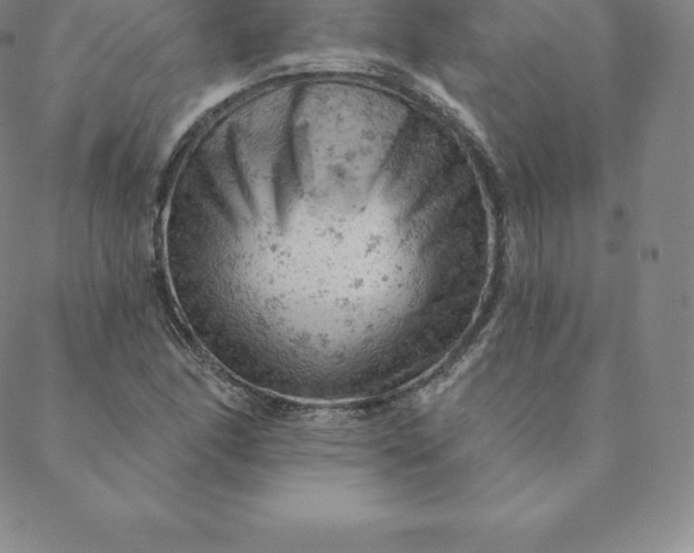 X0000088651166200706081630