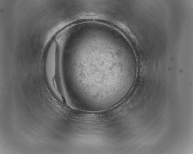 X0000088651167200706081630