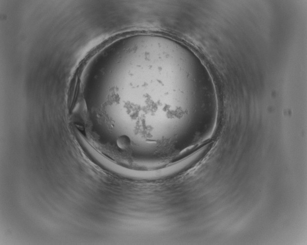 X0000088651168200706081630