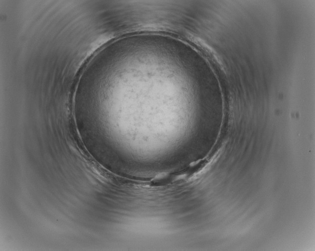 X0000088651170200706081630