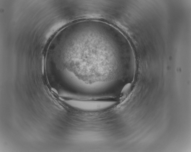 X0000088651171200706081630