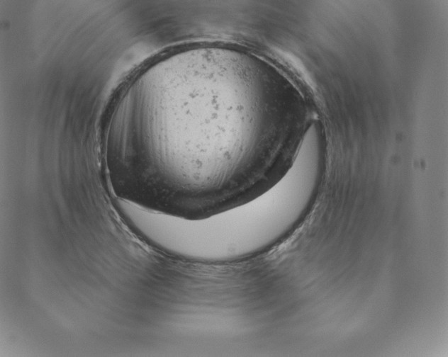 X0000088651172200706081630