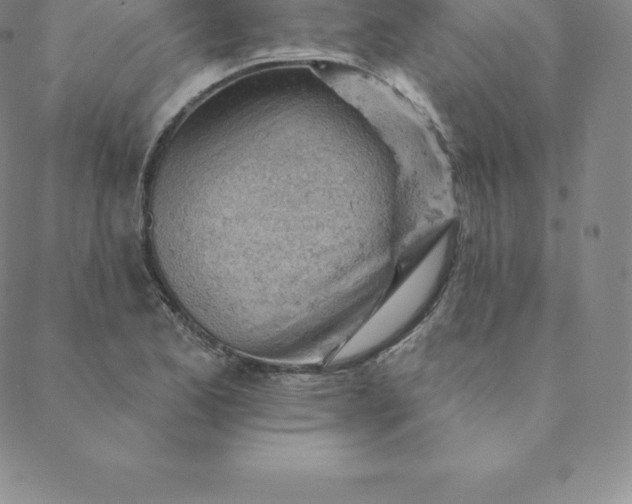 X0000088651173200706081630