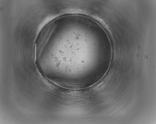 X0000088651175200706081630