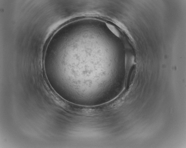 X0000088651176200706081630