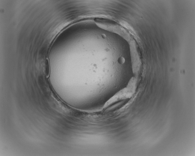 X0000088651177200706081630