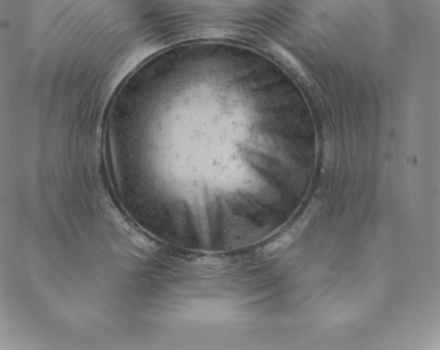 X0000088651178200706081630