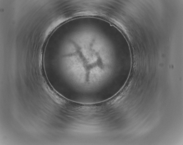 X0000088651179200706081630