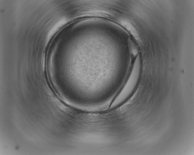 X0000088651180200706081630