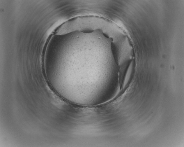 X0000088651181200706081630