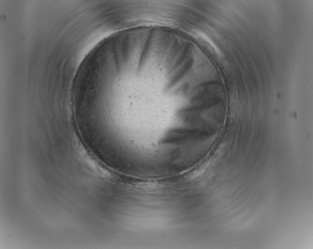 X0000088651182200706081630