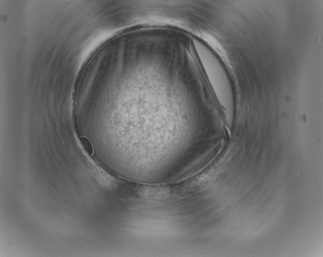 X0000088651183200706081630