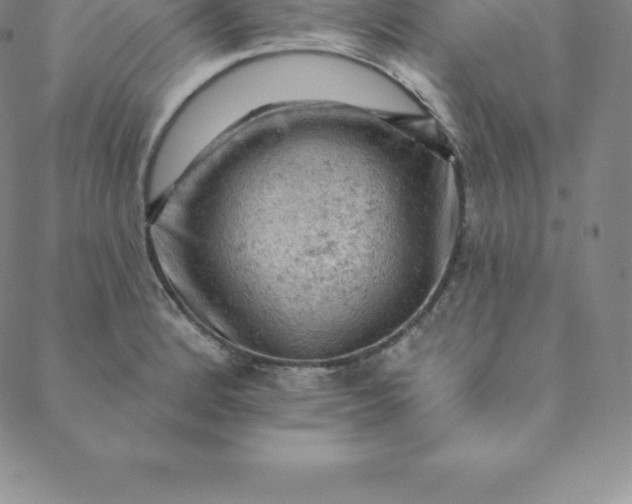 X0000088651184200706081630