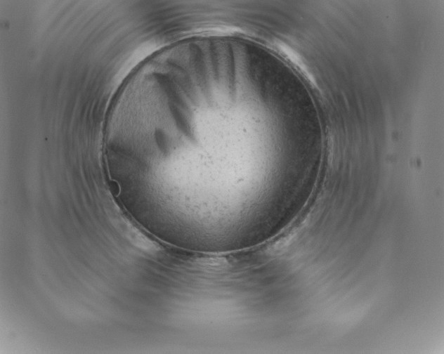 X0000088651186200706081630