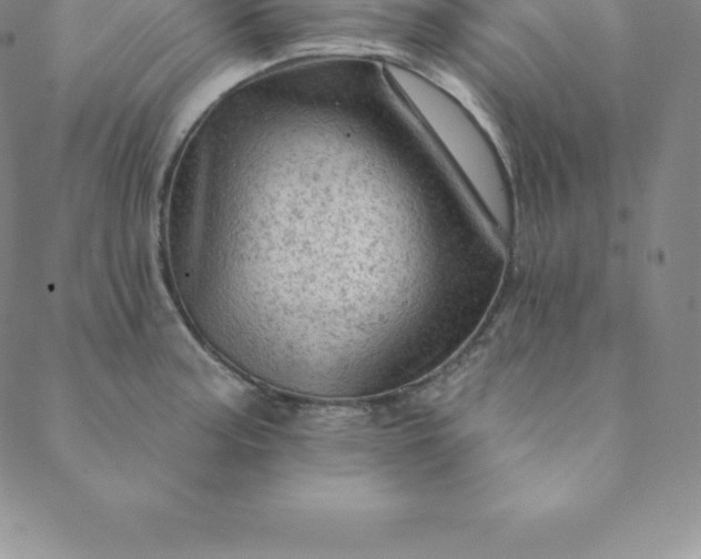 X0000088651187200706081630