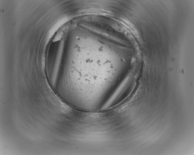 X0000088651188200706081630