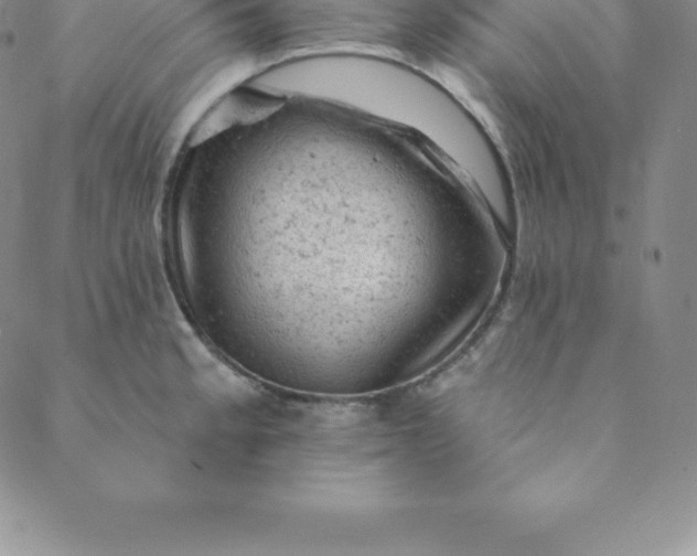 X0000088651189200706081630