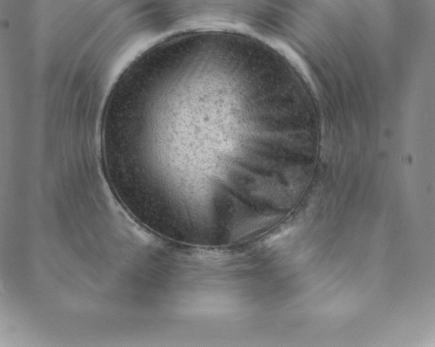 X0000088651191200706081630