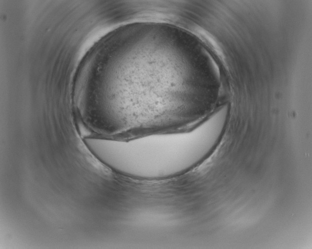 X0000088651192200706081630