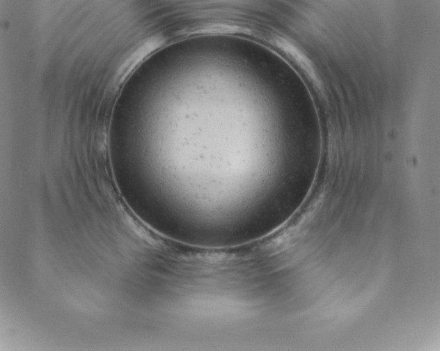 X0000088651193200706081630