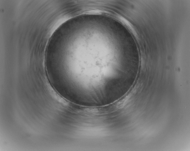 X0000088651194200706081630