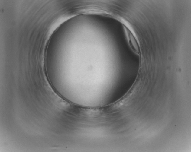 X0000088651195200706081630