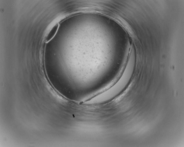 X0000088651196200706081630