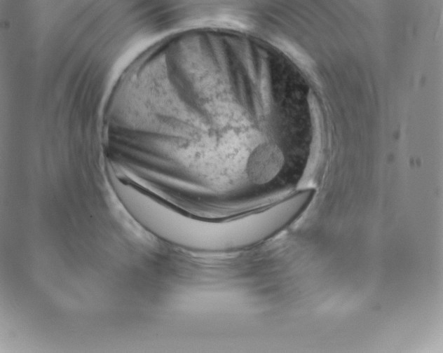 X0000088651200200706081630