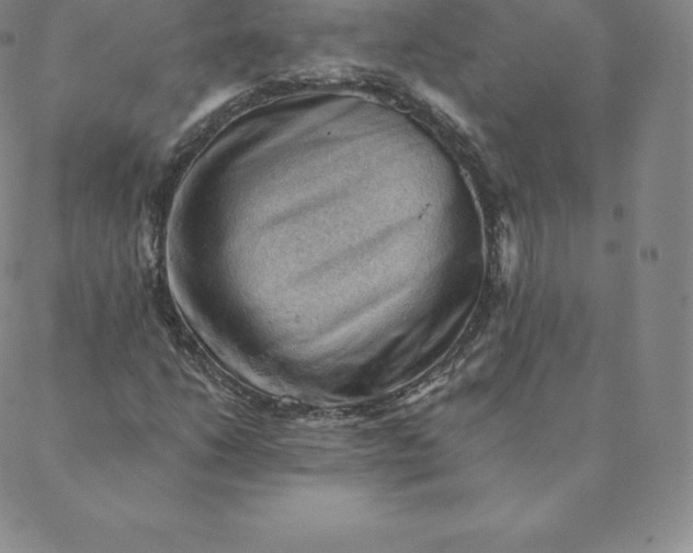 X0000088651206200706081629