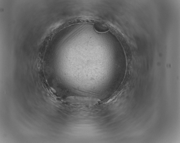 X0000088651207200706081629