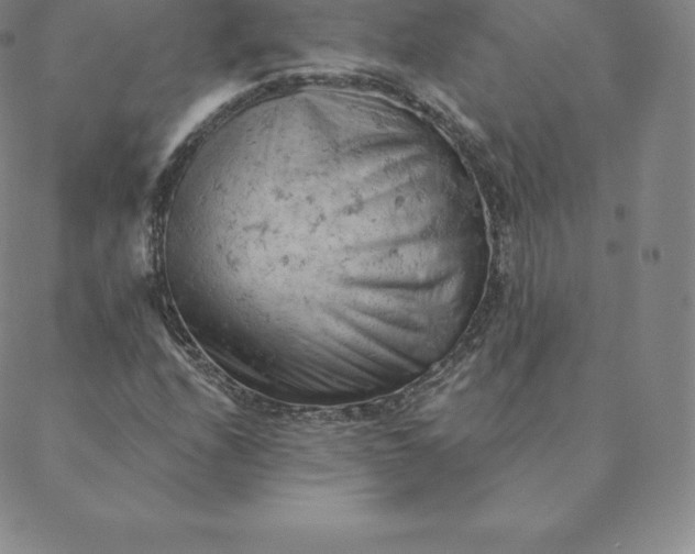 X0000088651208200706081629