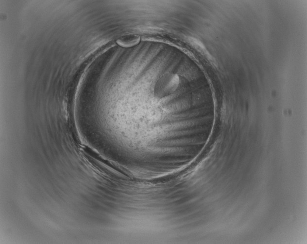 X0000088651209200706081629