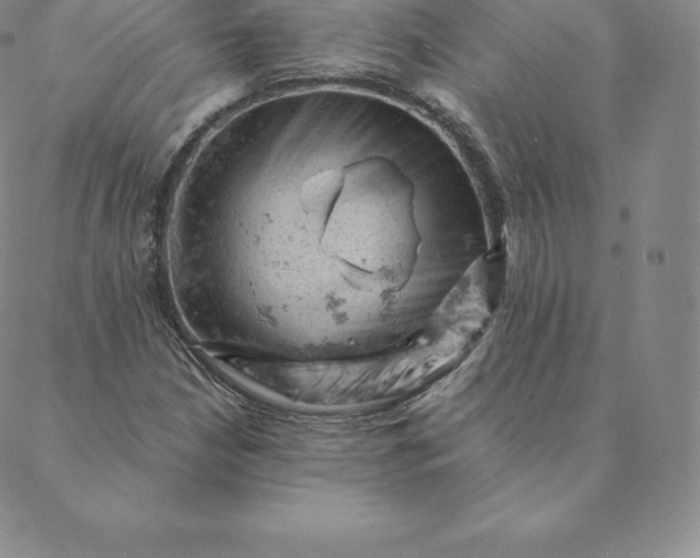 X0000088651210200706081629