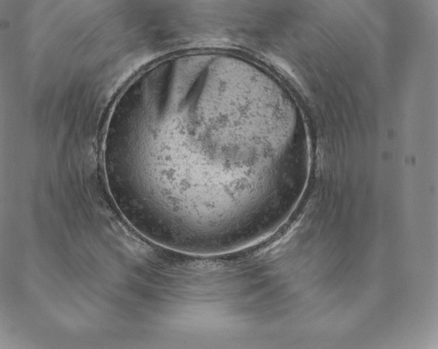 X0000088651212200706081629