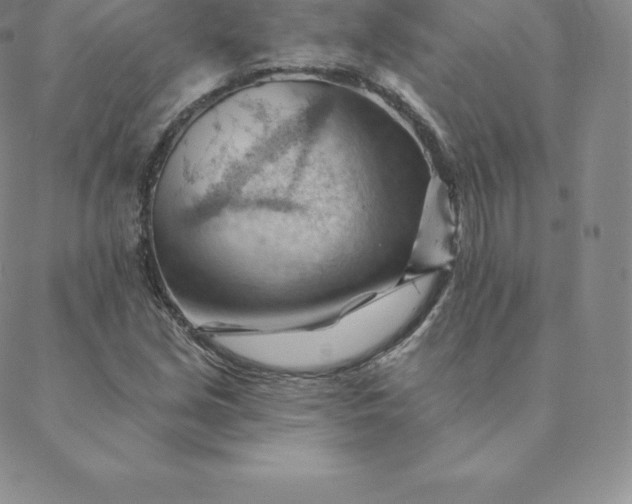 X0000088651213200706081629