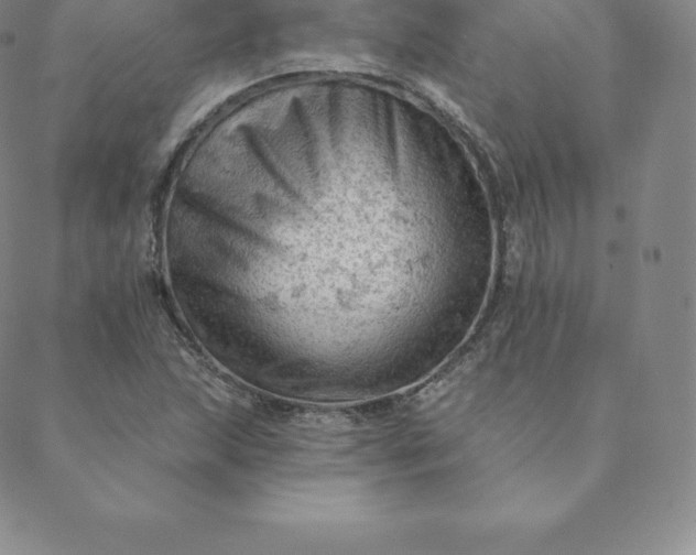 X0000088651215200706081629