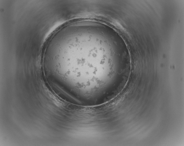 X0000088651216200706081629