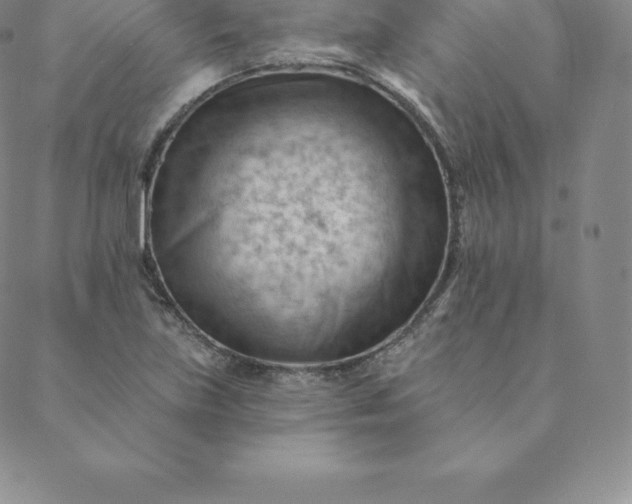 X0000088651219200706081629