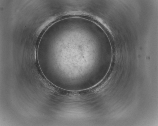 X0000088651221200706081629