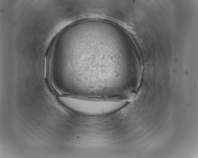 X0000088651223200706081629