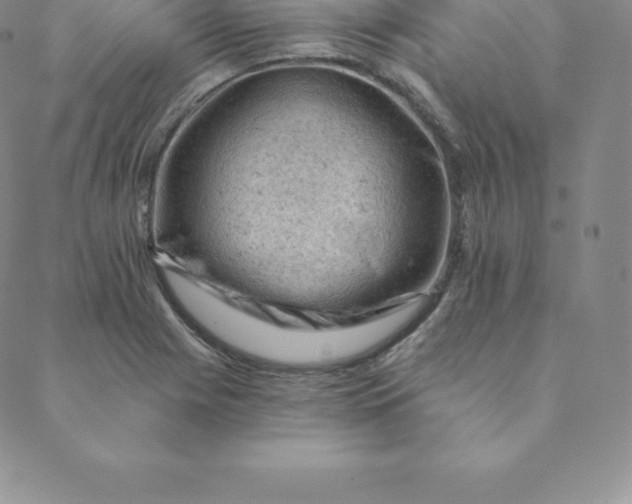 X0000088651225200706081629