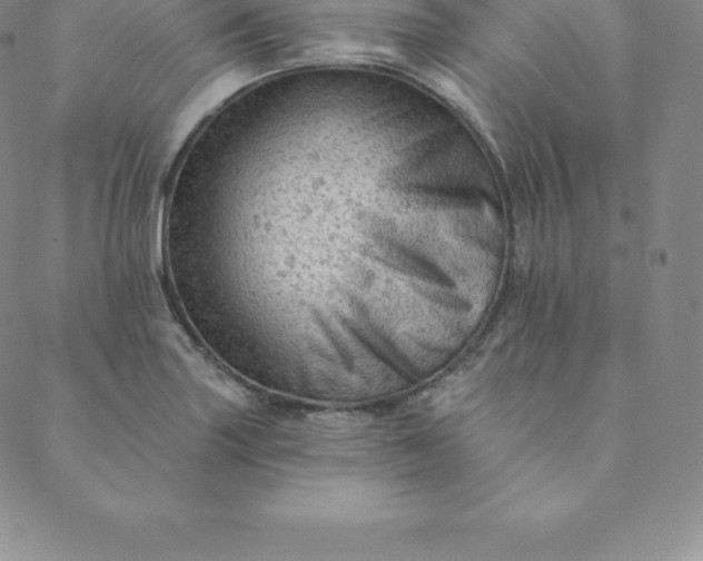 X0000088651227200706081629