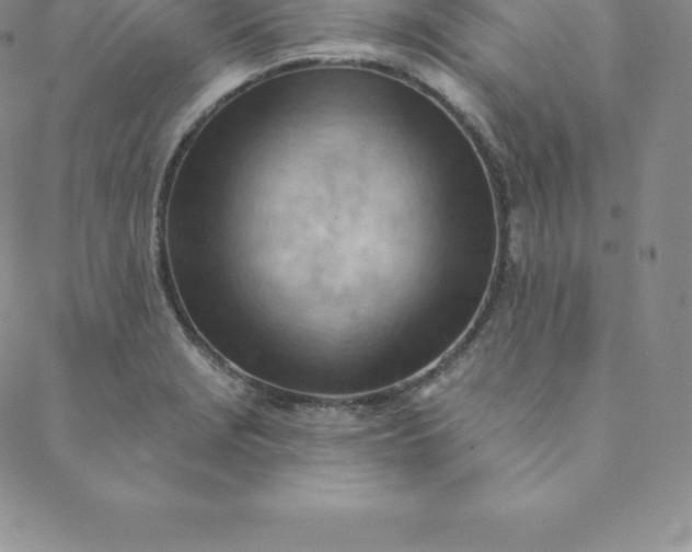 X0000088651229200706081629