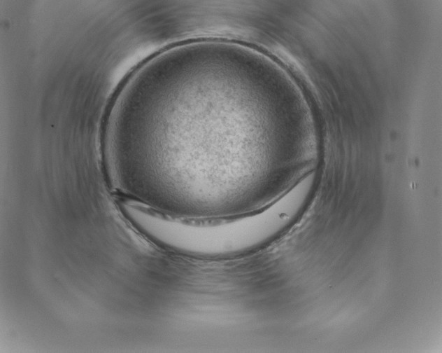 X0000088651230200706081629